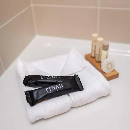 Tinah Paris, Champs Elysees Otel 3*
