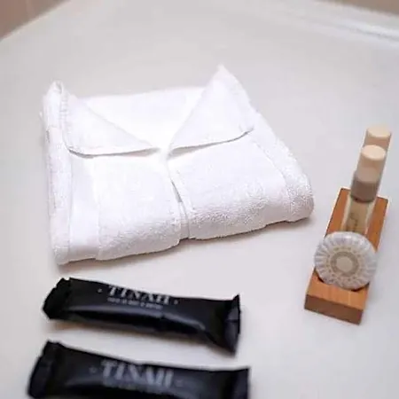 Tinah Paris, Champs Elysees 3* Paris