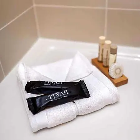 Hotel Tinah Paris, Champs Elysees 3*