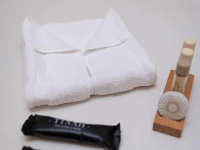 Hotel Tinah Paris, Champs Elysees