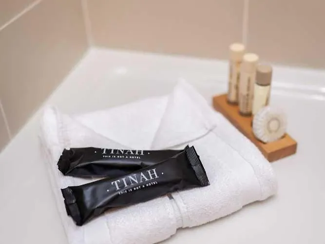 Tinah Paris, Champs Elysees Hotel 3*