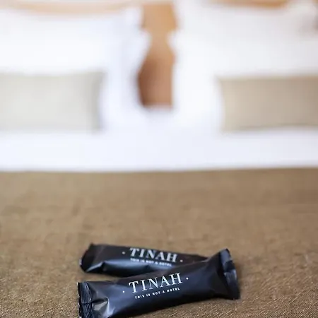Tinah Paris, Champs Elysees Hotel Paris